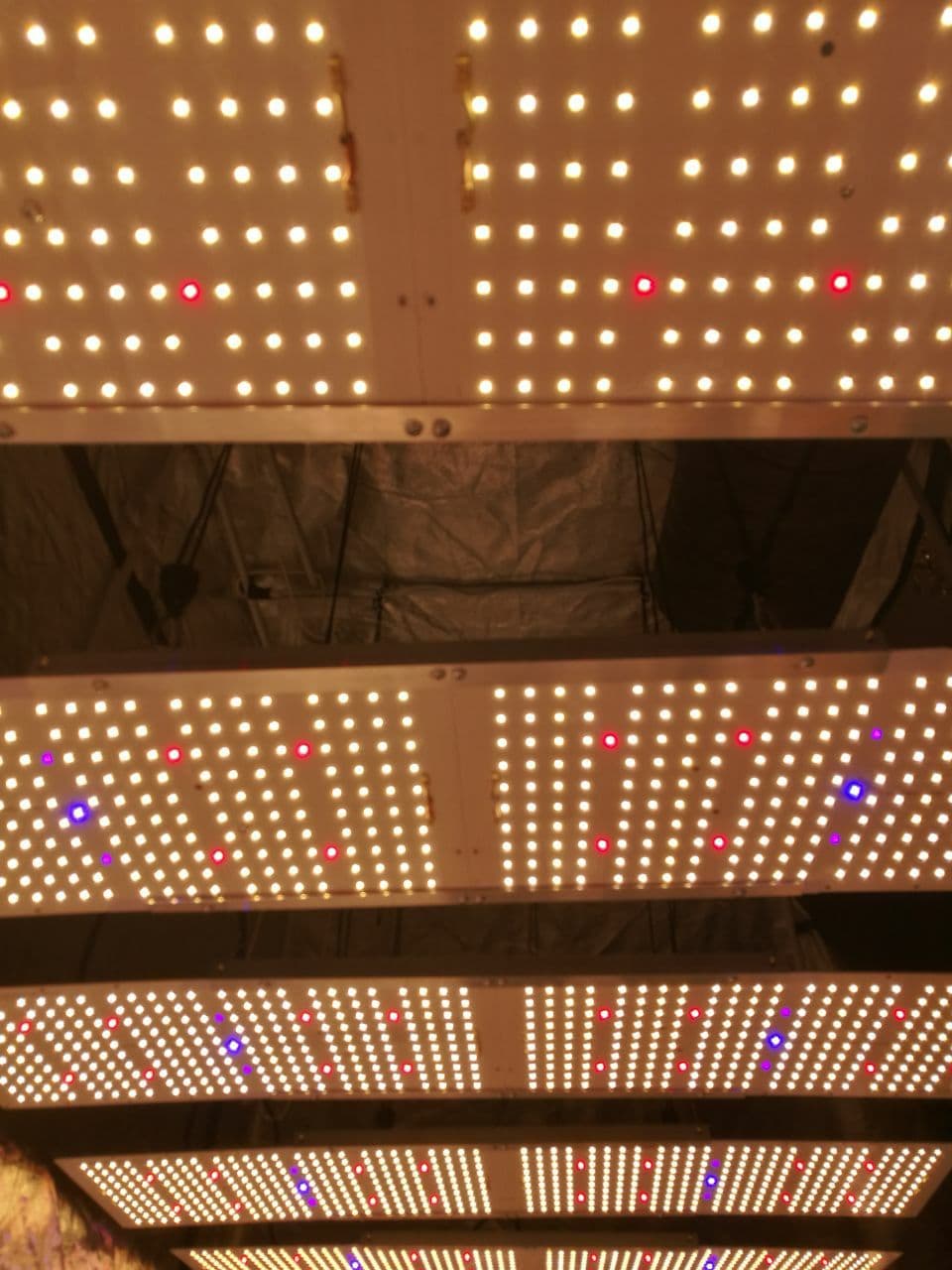 Светодиодная фитолампа Sun2, Спектр света и растения, Samsung, lm301b, Osram 660nm, Гроубокс, гидропоника, cветильник для растений, Полный спектр, купить quantum board, квантум борд