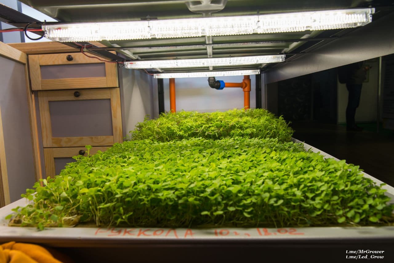 Светодиодная фитолампа Sun2, Спектр света и растения, Samsung, lm301b, Osram 660nm, Гроубокс, гидропоника, cветильник для растений, Полный спектр, купить quantum board